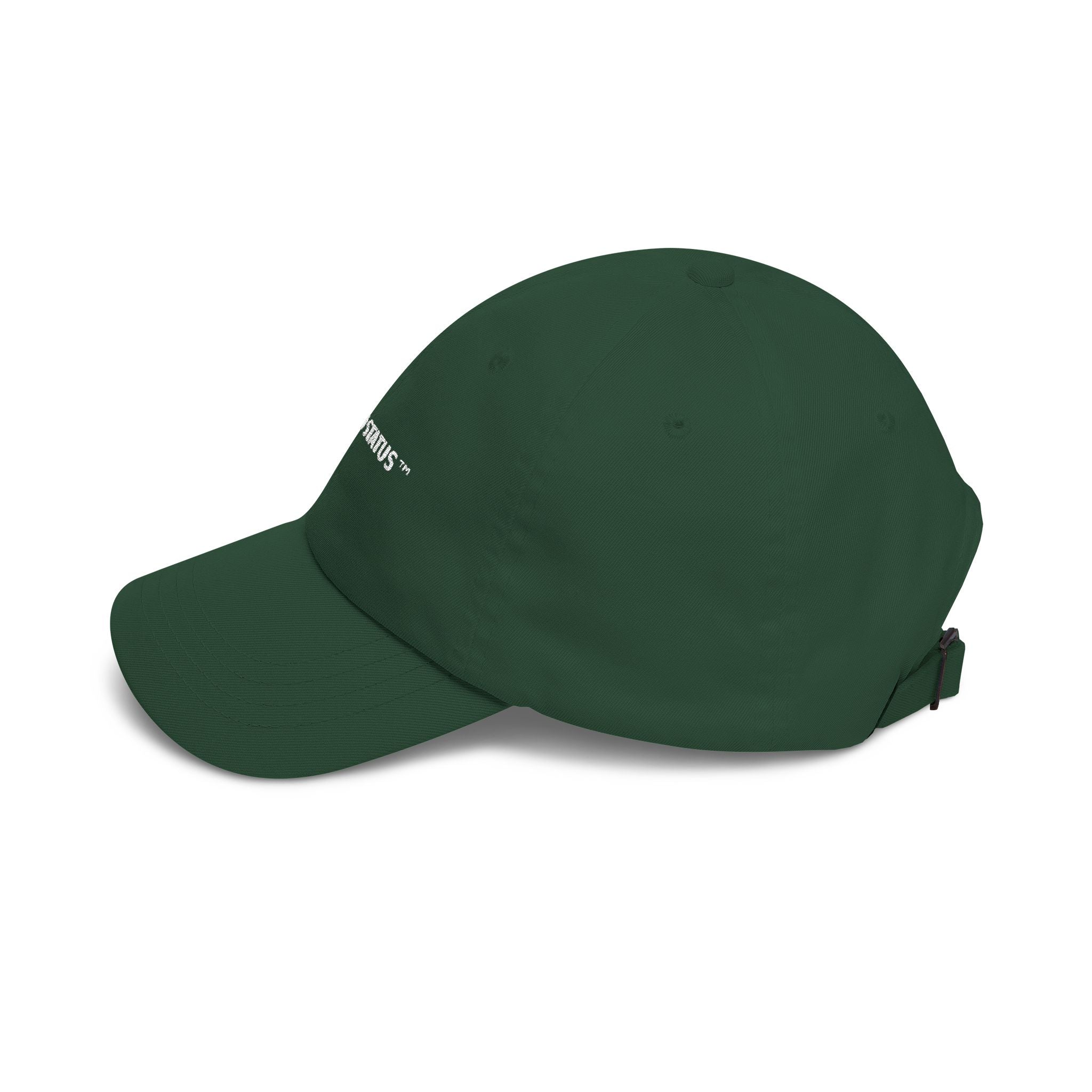 Earned - Classic Cap