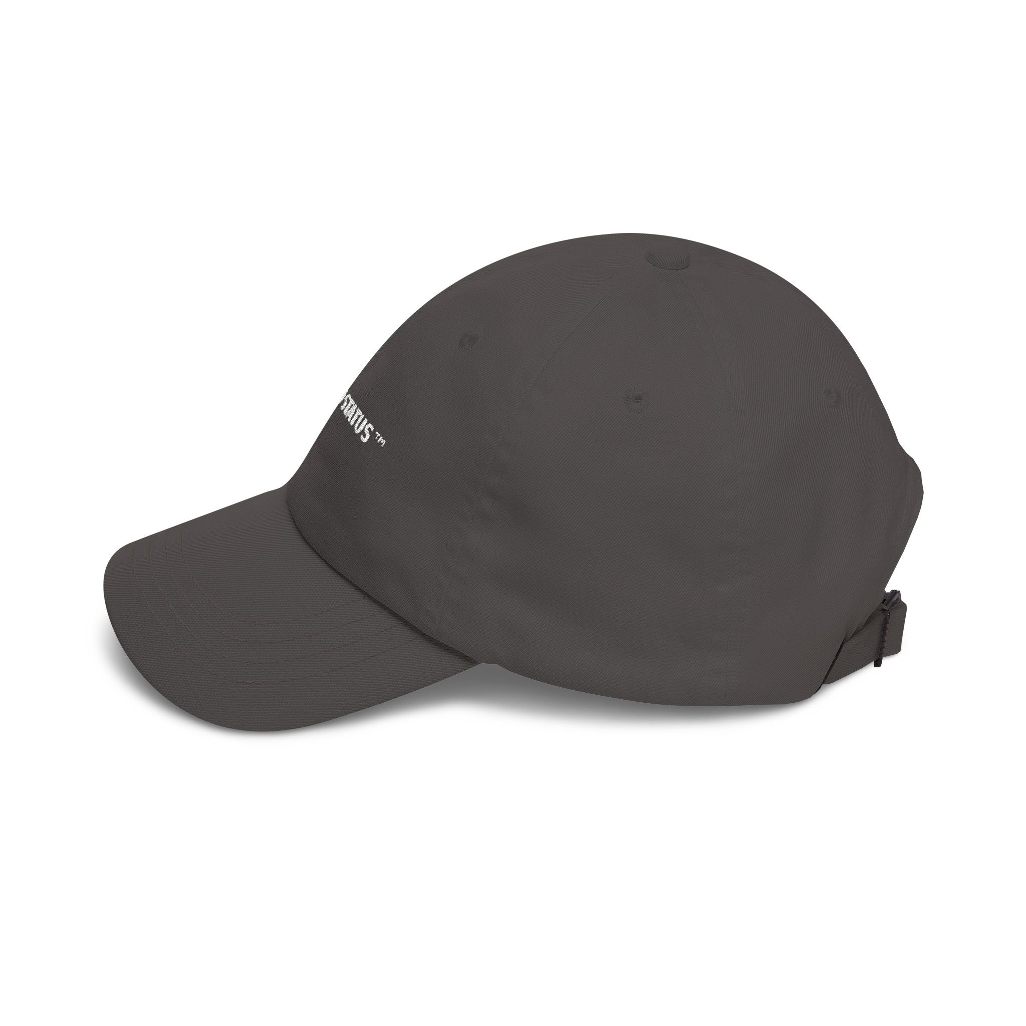 Earned - Classic Cap